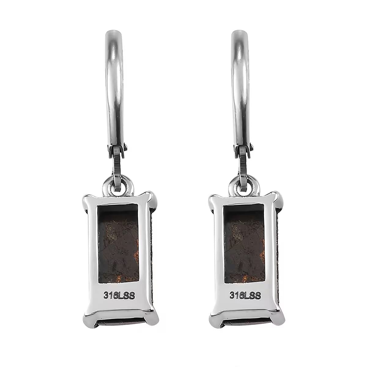 Matrix Silver Shungite 3.75 ctw Lever Back Earrings in Stainless Steel image number 8