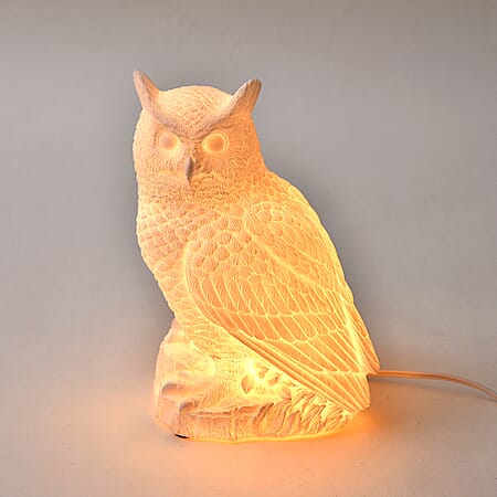 Owl - Product card gallery slide 1 (10177145143609)