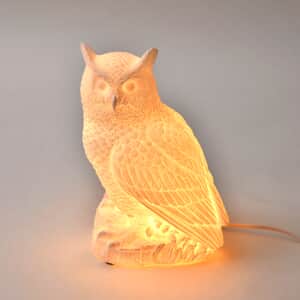 Polyresin Owl Shape Lamp