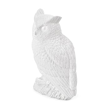 Owl - Product card gallery slide 3 (10177145143609)