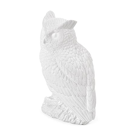 Owl - Product card gallery slide 3 (10177145143609)