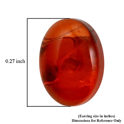Baltic Amber Earrings