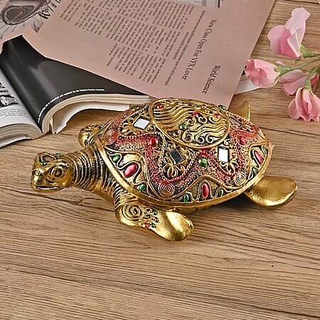 Turtle - Product card gallery slide 2 (10177155465529)