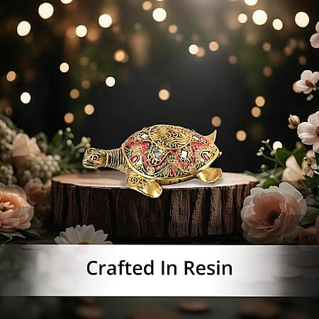 Turtle - Product card gallery slide 3 (10177155465529)