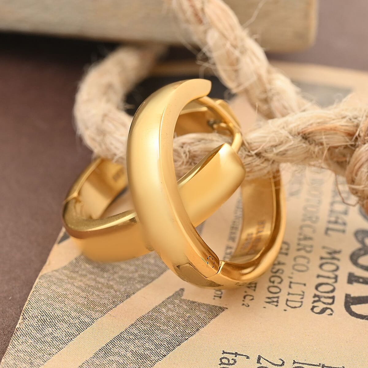 Earrings in ION Plated YG Stainless Steel image number 1