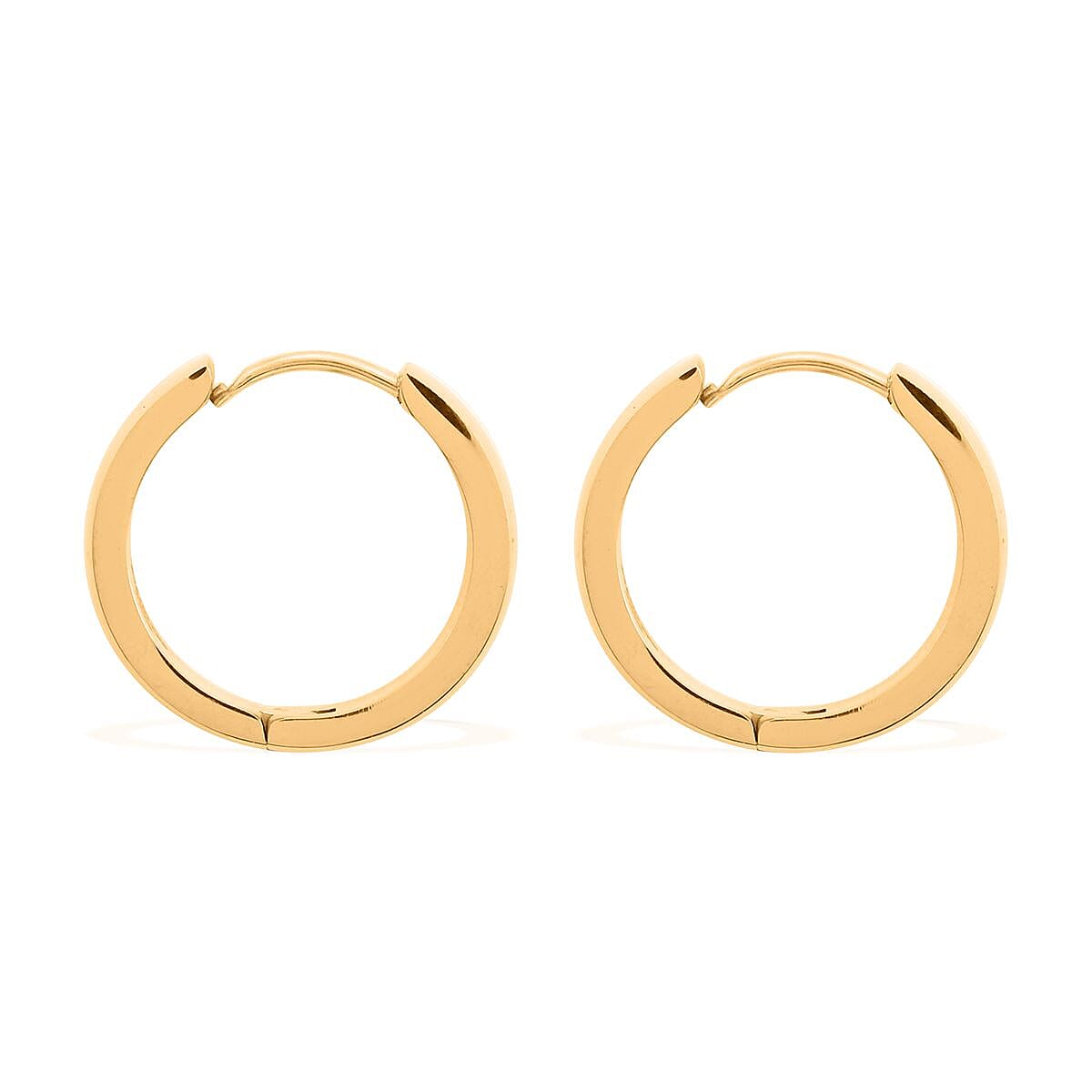 Earrings in ION Plated YG Stainless Steel