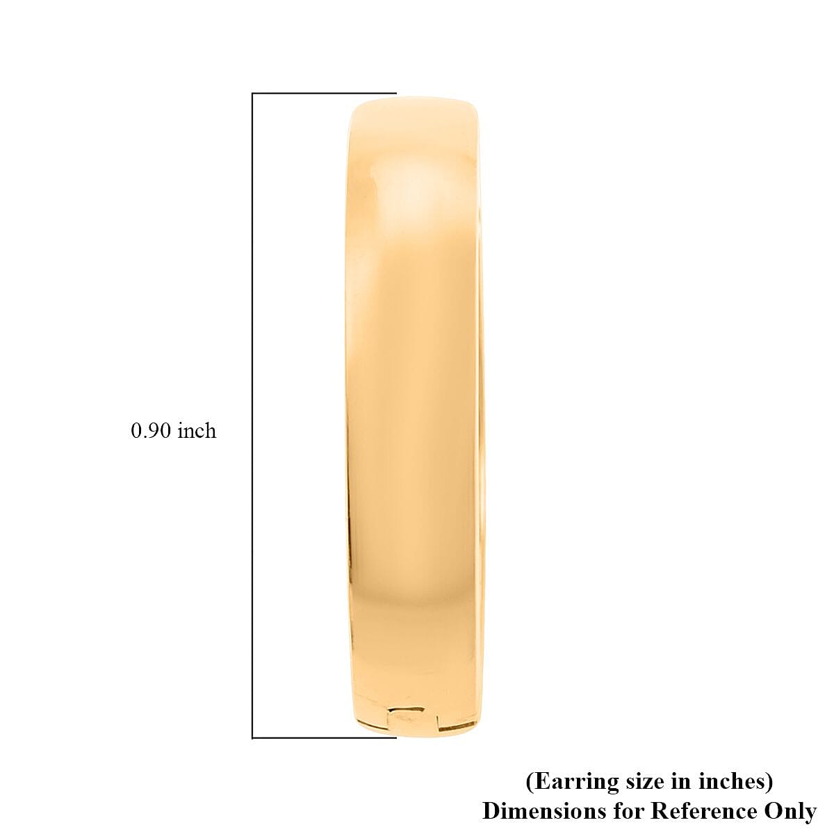 Earrings in ION Plated YG Stainless Steel image number 4