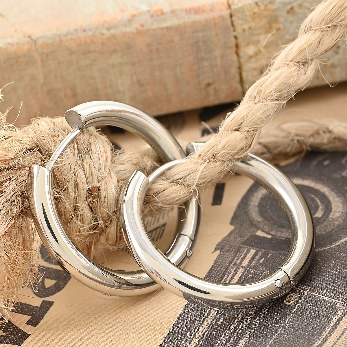 Earrings in Stainless Steel image number 1