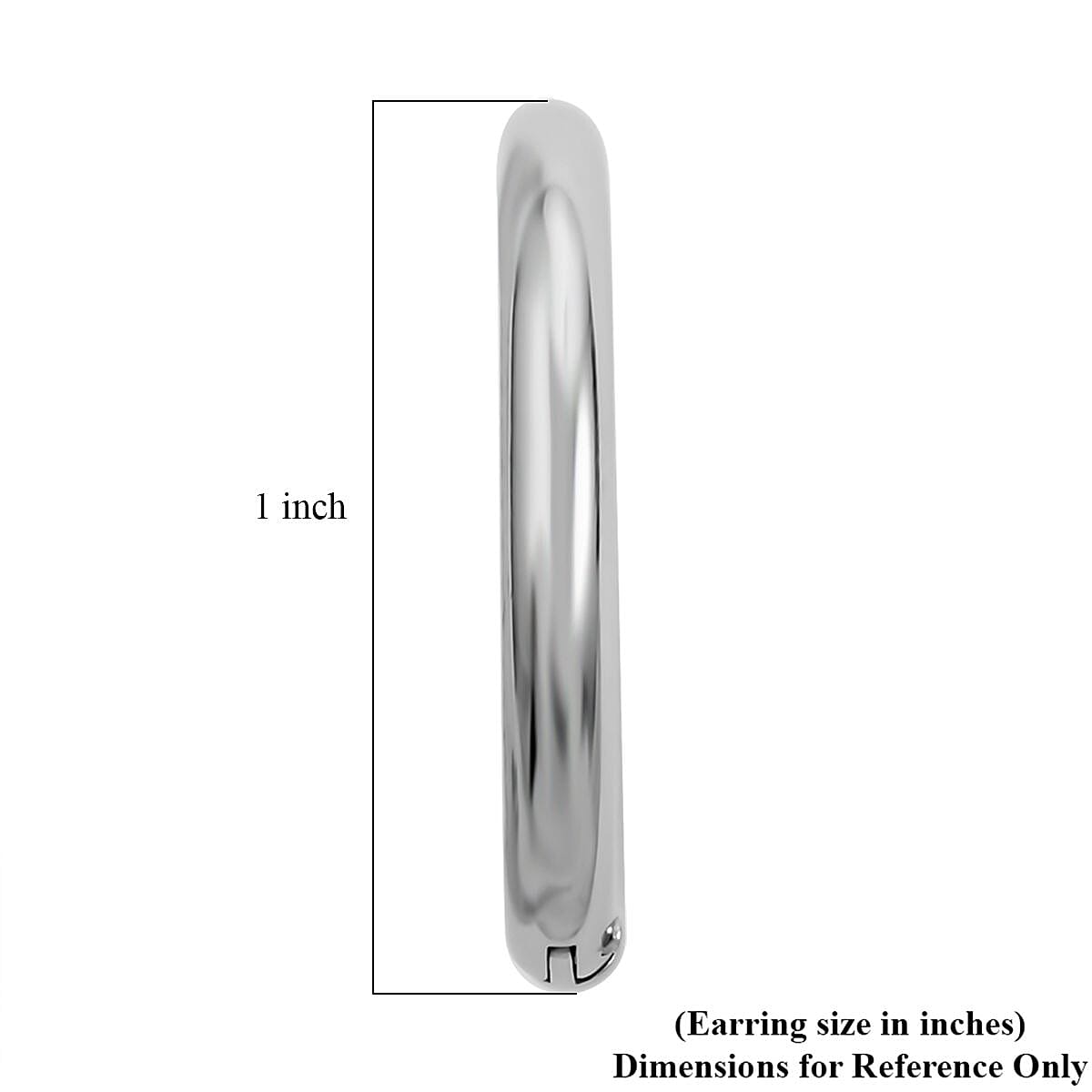 Earrings in Stainless Steel