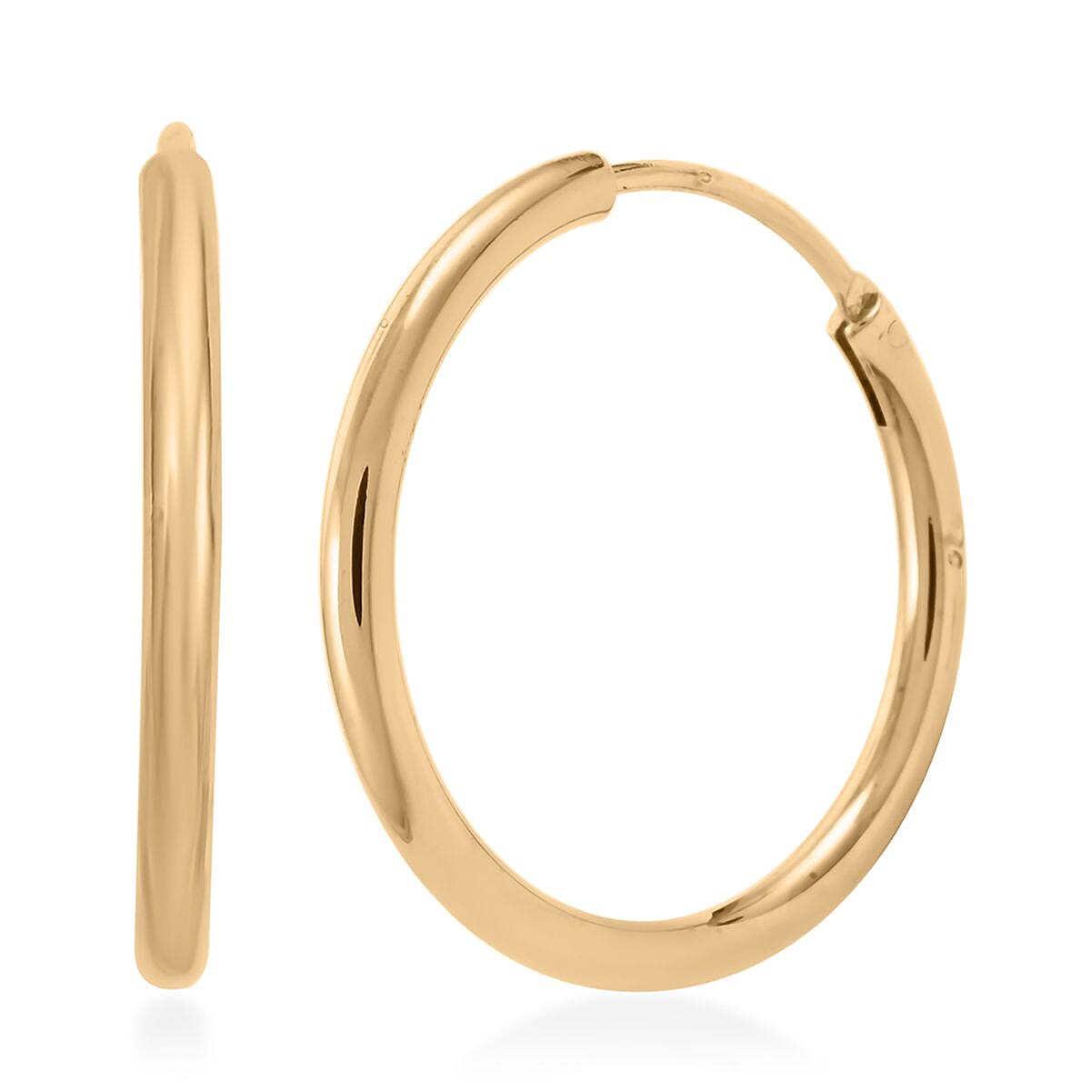 Earrings in ION Plated YG Stainless Steel image number 0