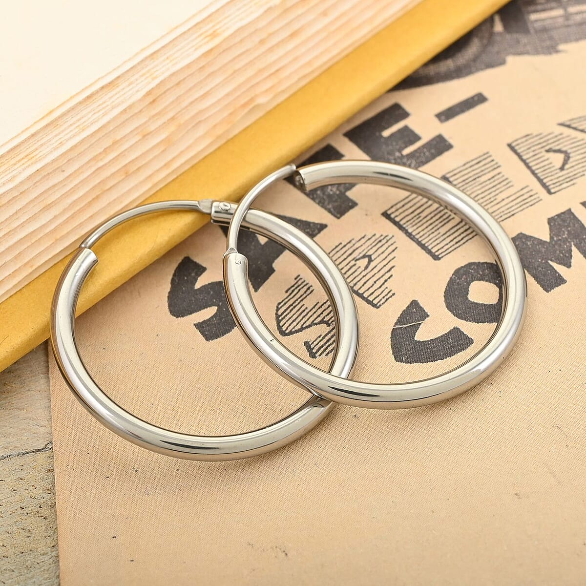 Earrings in Stainless Steel image number 1