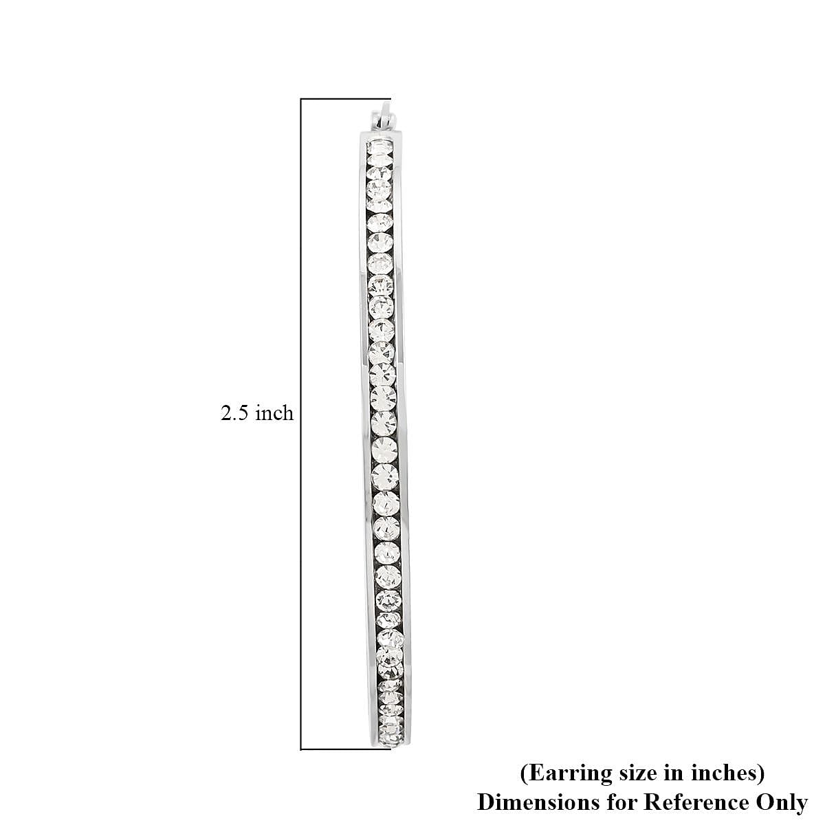 Austrian Crystal Earrings in Stainless Steel image number 4