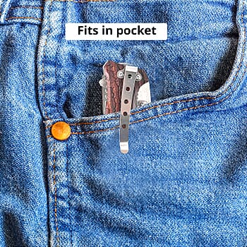 Fox - Product card gallery slide 4 (10177159594297)