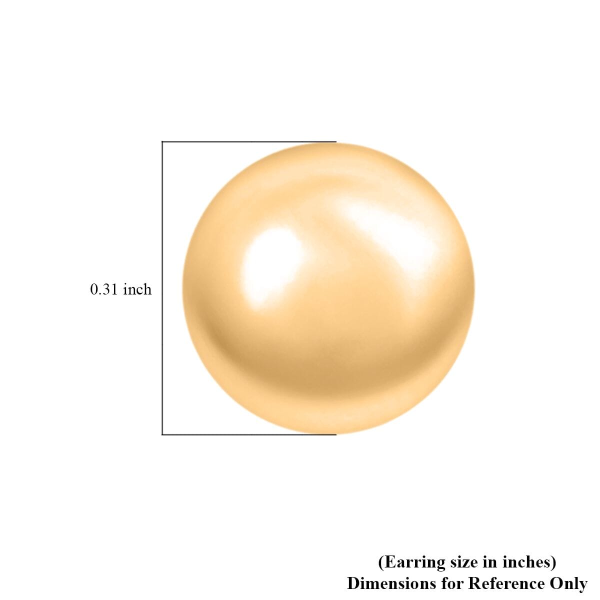 10K Yellow Gold 5mm Stud Earrings 0.12 Grams image number 4