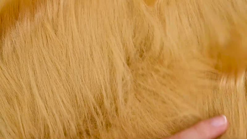 HOMESMART Brown Faux Fur Carpet (23.6"x35.4")