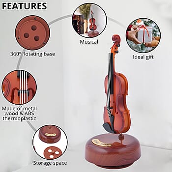Violin - Product card gallery slide 3 (10177174208825)