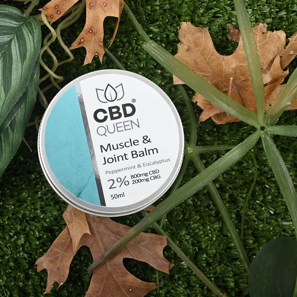 Doorbuster CBD Queen 800mg CBD Muscle & Joint Balm For Pain And Muscle Soreness 50ml/1.6oz image number 1