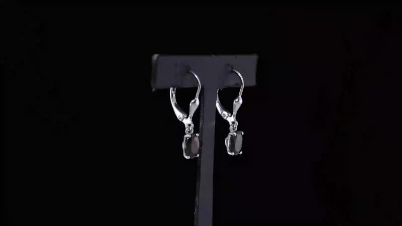 Shungite Lever Back Earrings in Sterling Silver 0.90 ctw
