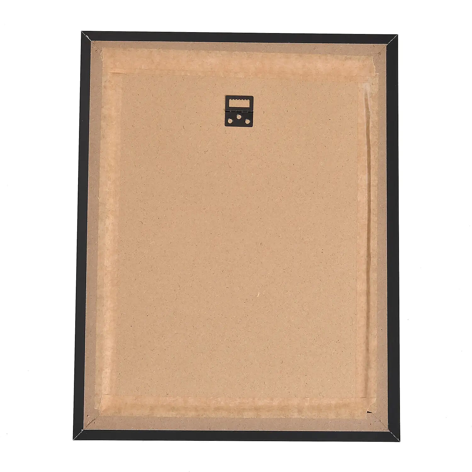 Witch 3D Holographic Painting 3 Images in 1 Picture Frame
