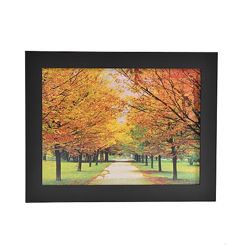 Tree - Product card gallery slide 1 (9450108944639)