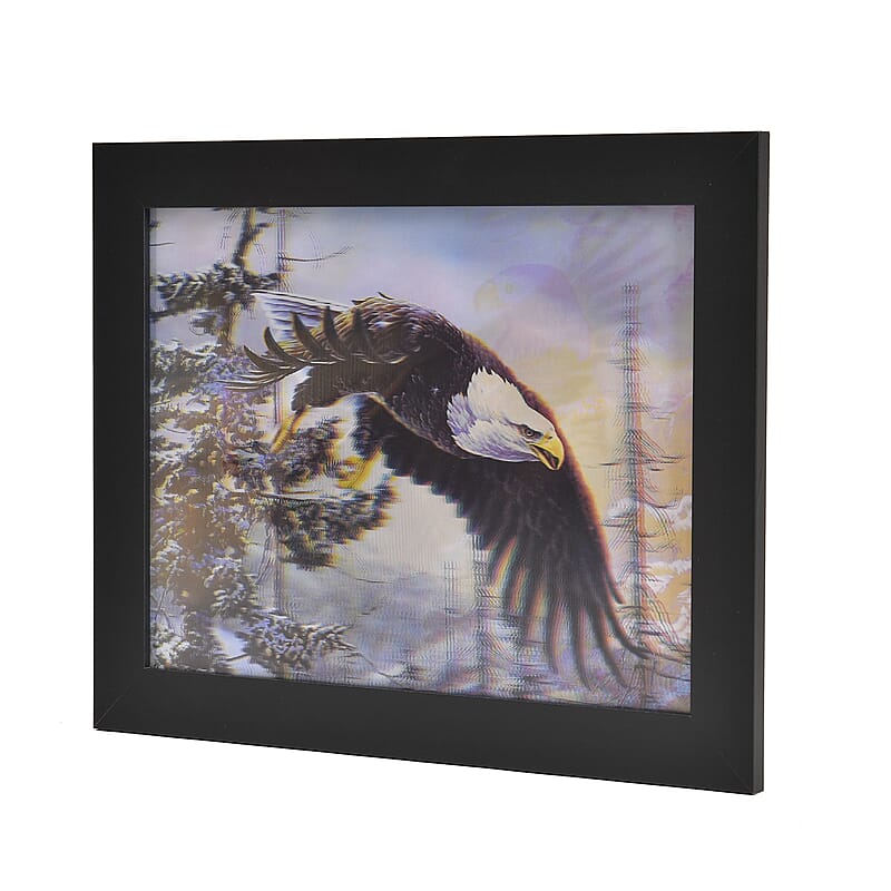 Eagle 3D Holographic Painting 3 Images in 1 Picture Frame