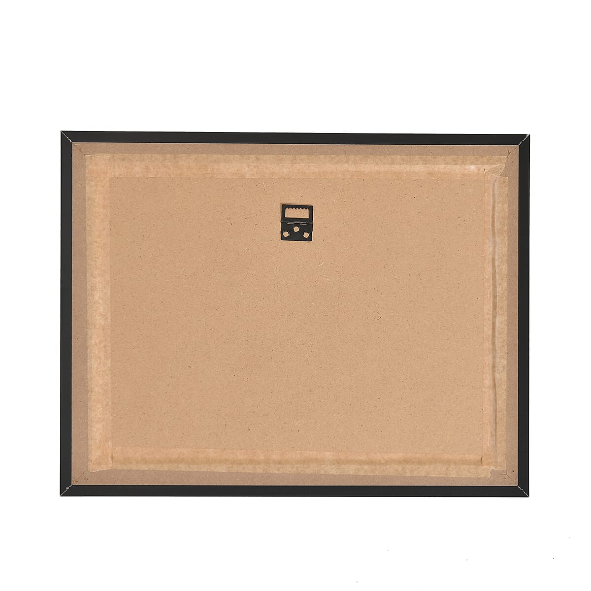 Eagle 3D Holographic Painting 3 Images in 1 Picture Frame image number 3