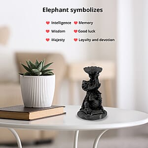 Shungite Elephant Candle Holder