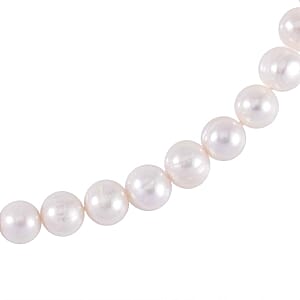Freshwater Pearl 309.20 ctw Necklace in Rhodium Over Sterling Silver 20 Inches
