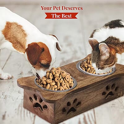 Nakkashi Hand Carved Mango Wood Pet Feeder with Stainless Steel Bowls