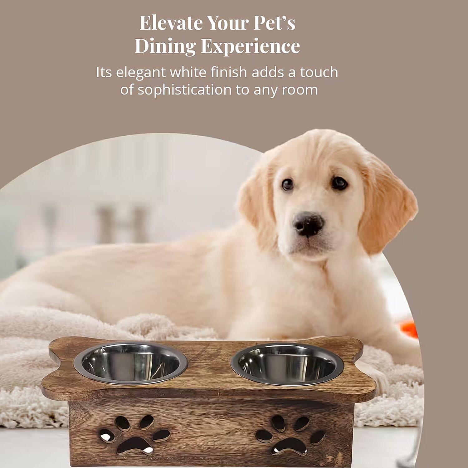 Nakkashi Hand Carved Mango Wood Pet Feeder with Stainless Steel Bowls