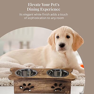 Nakkashi Hand Carved Mango Wood Pet Feeder with Stainless Steel Bowls