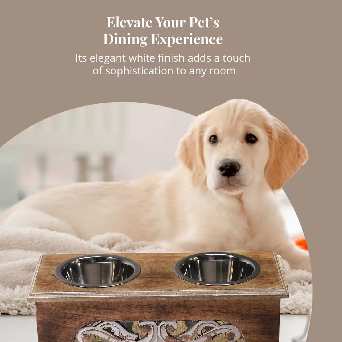 Nakkashi Hand Carved Mango Wood Pet Feeder with Stainless Steel Bowls image number 4