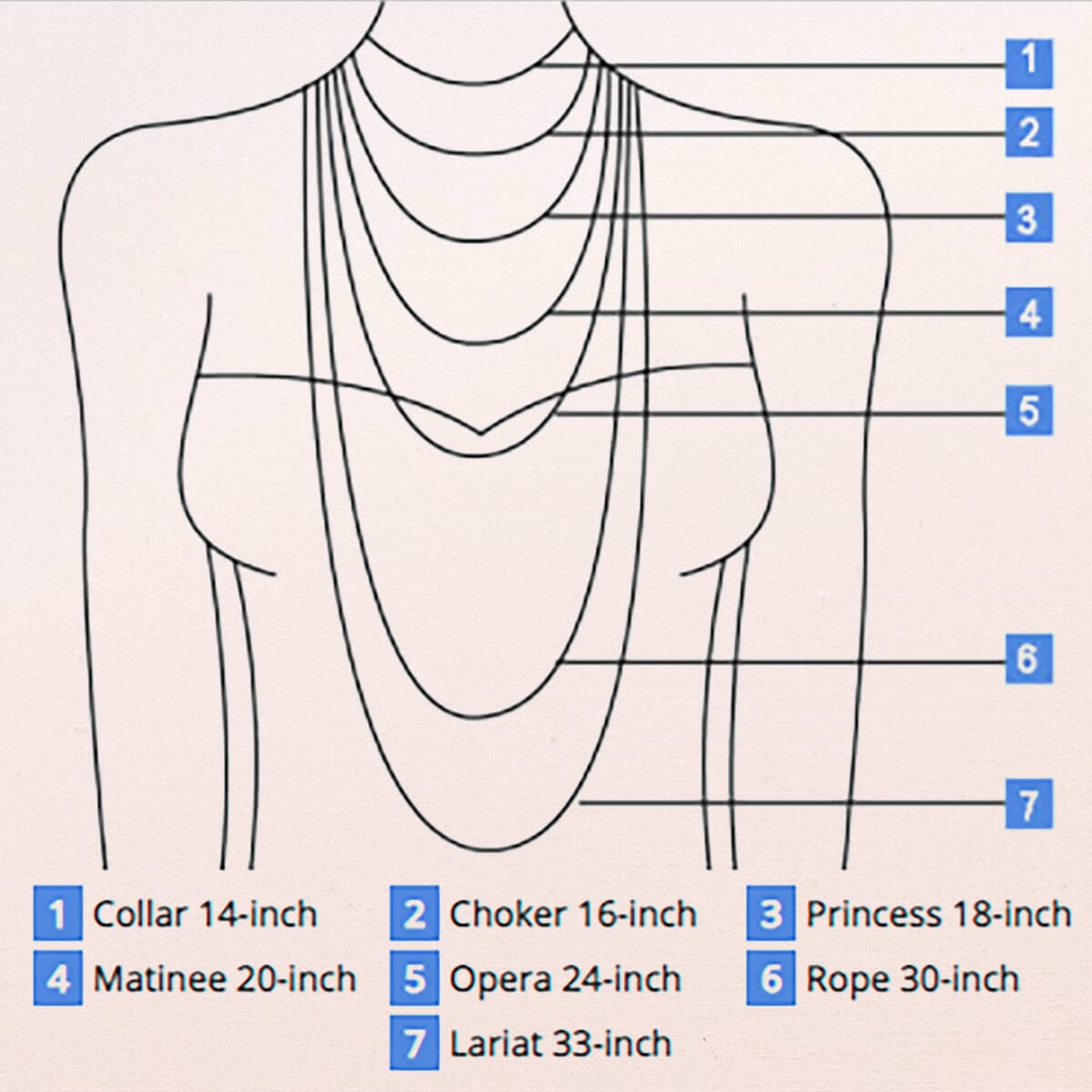 10K Yellow Gold 5.5mm Alexander Chain Necklace (20 Inches) (17.80 g) image number 5