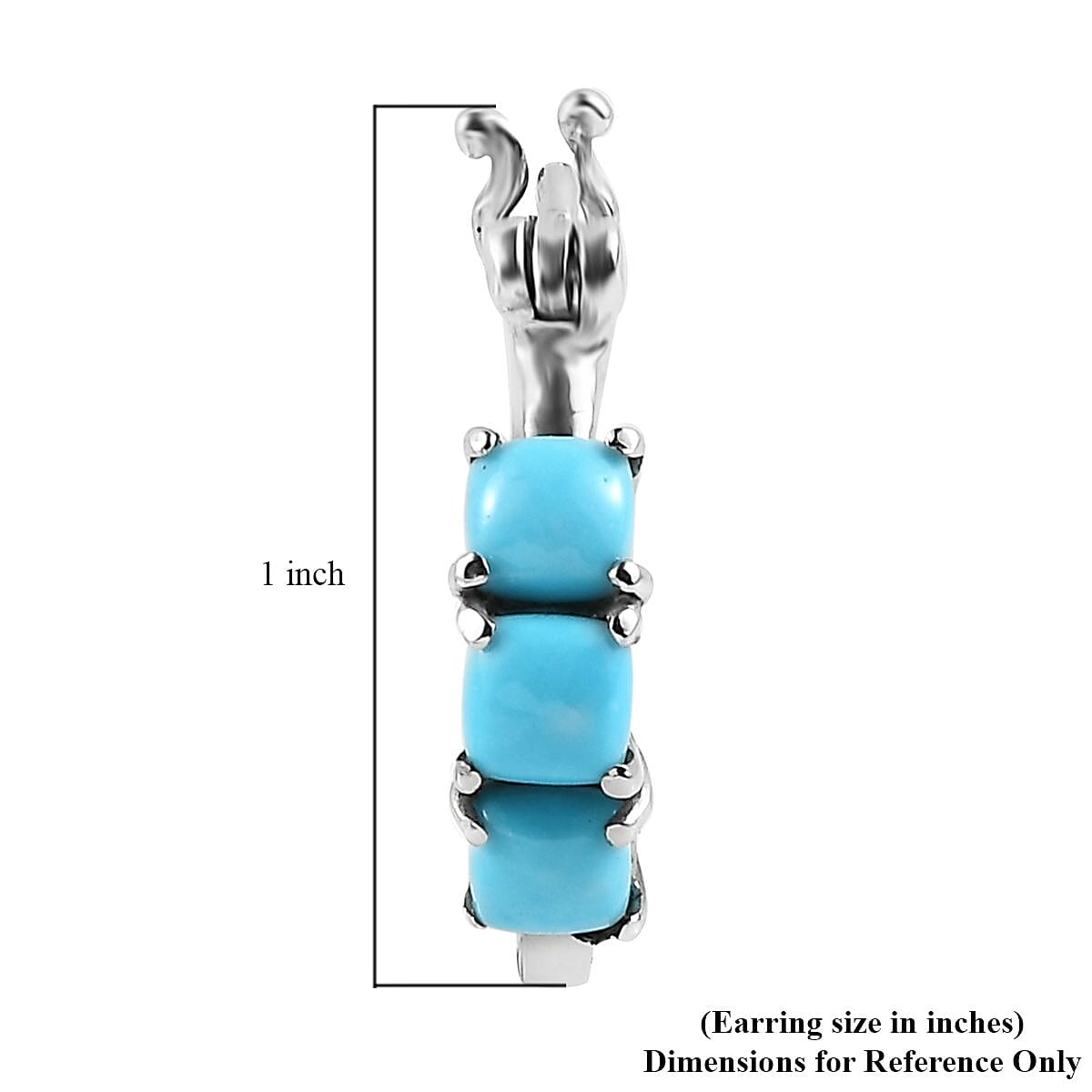 Sleeping Beauty Turquoise Hoop Earrings in Stainless Steel 1.85 ctw