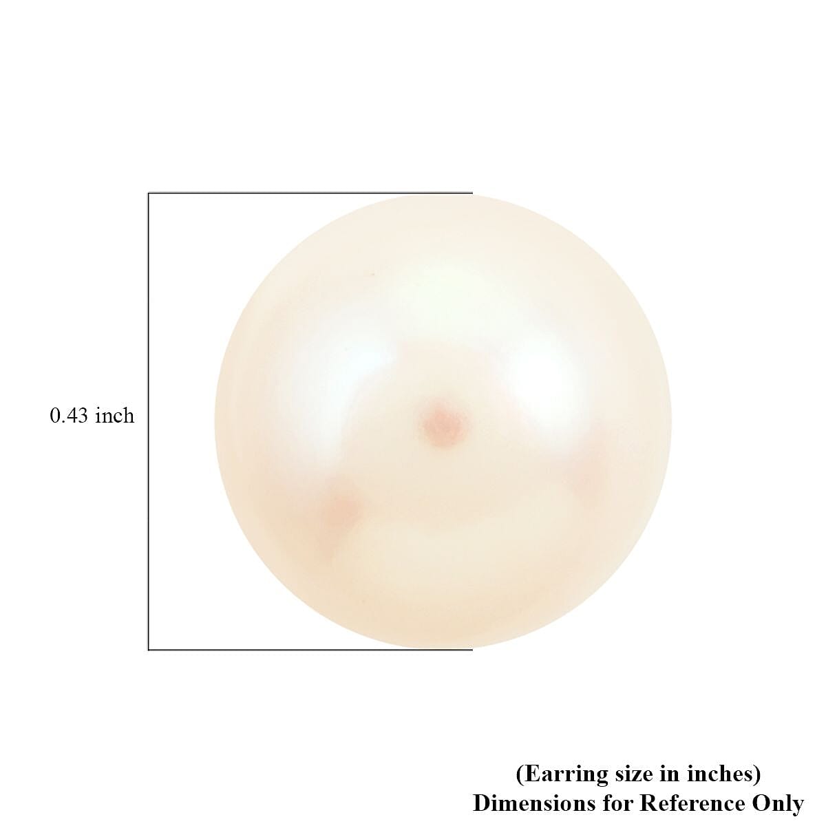 Freshwater Pearl Earrings in Sterling Silver