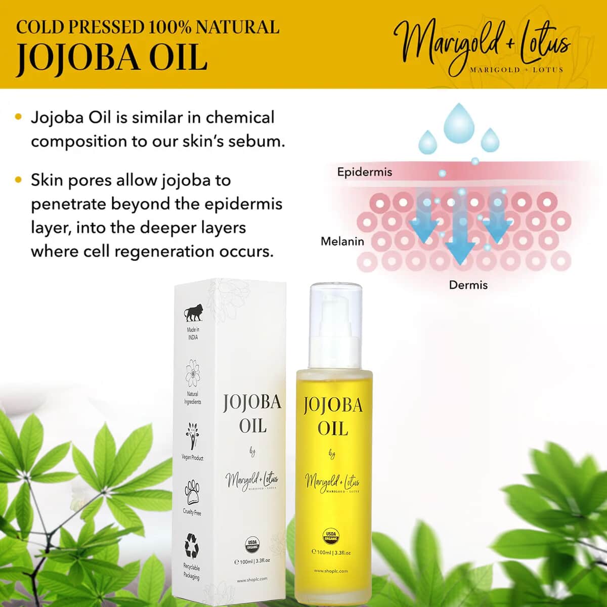 Marigold & Lotus Cold Pressed 100% Natural Jojoba Oil 3.3 oz, Unrefined Organic Jojoba Oil, Jojoba Oil for Hair and Skin image number 1