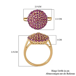 Orissa Rhodolite Garnet 1.89 ctw Ring in 14K YG Over Sterling Silver (Size 10)