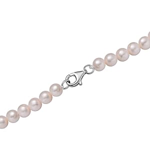 White Freshwater Pearl 165.60 ctw Necklace in Rhodium Over Sterling Silver 24 Inches