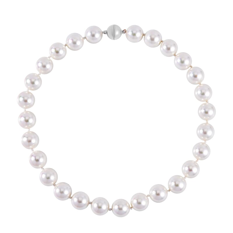 White Shell Pearl Necklace 20 Inches in Stainless Steel