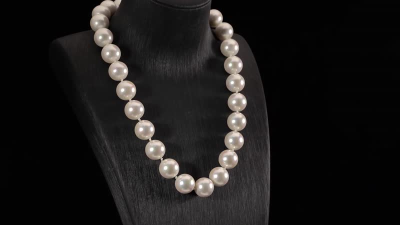 Doorbuster Golden Color Shell Pearl Beaded Necklace 20 Inches in Stainless Steel