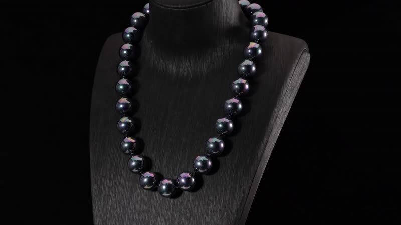 Doorbuster Golden Color Shell Pearl Beaded Necklace 20 Inches in Stainless Steel