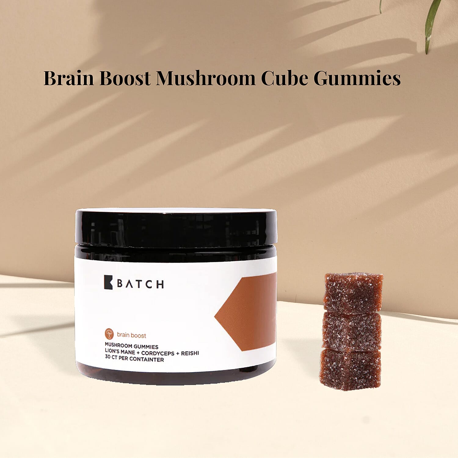 Batch Brain Boost Mushroom Cube Gummies 30ct