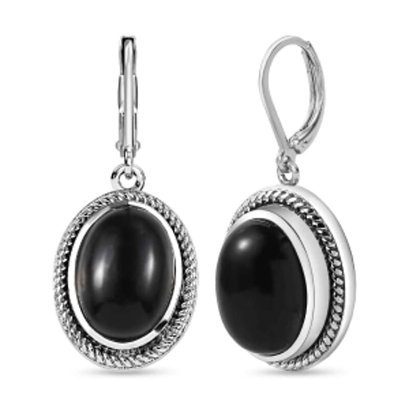 Black Onyx Lever Back 12.00 ctw Earrings in Stainless Steel