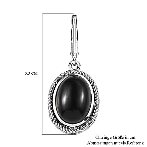 Black Onyx Lever Back 12.00 ctw Earrings in Stainless Steel