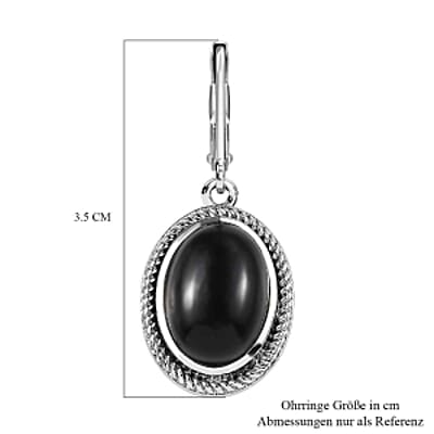Black Onyx Lever Back 12.00 ctw Earrings in Stainless Steel