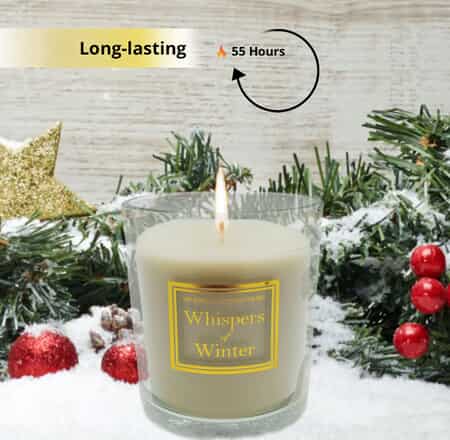 Flameless Diffuser Candle Fragrance Oil - Winter Spruce, Set of 2