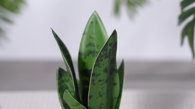 Gray Artificial Succulent Pot (3.93"x3.93"x11.25")