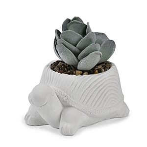 White Artificial Succulent Turtle Shape Pot