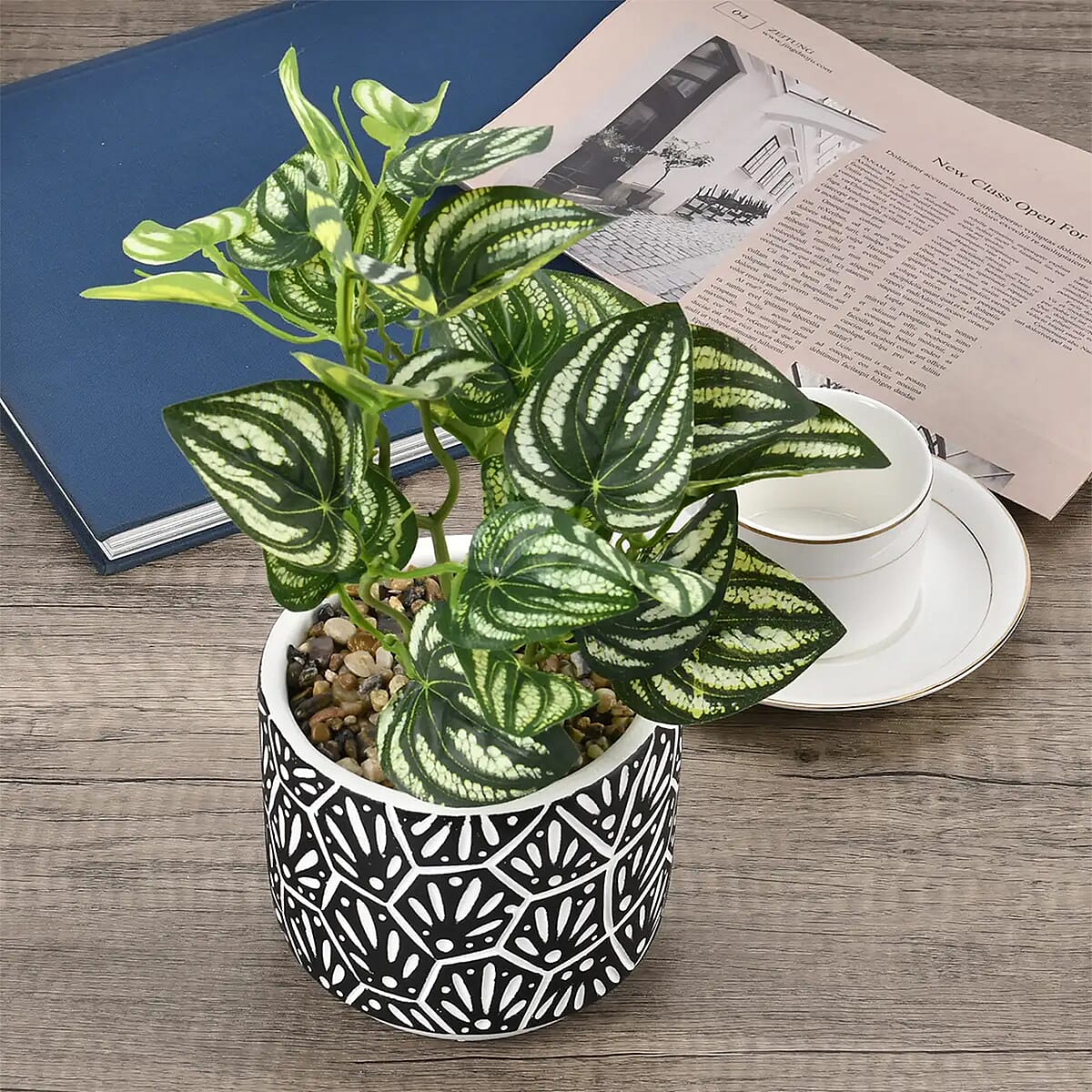 Black Artificial Succulent Pot image number 1