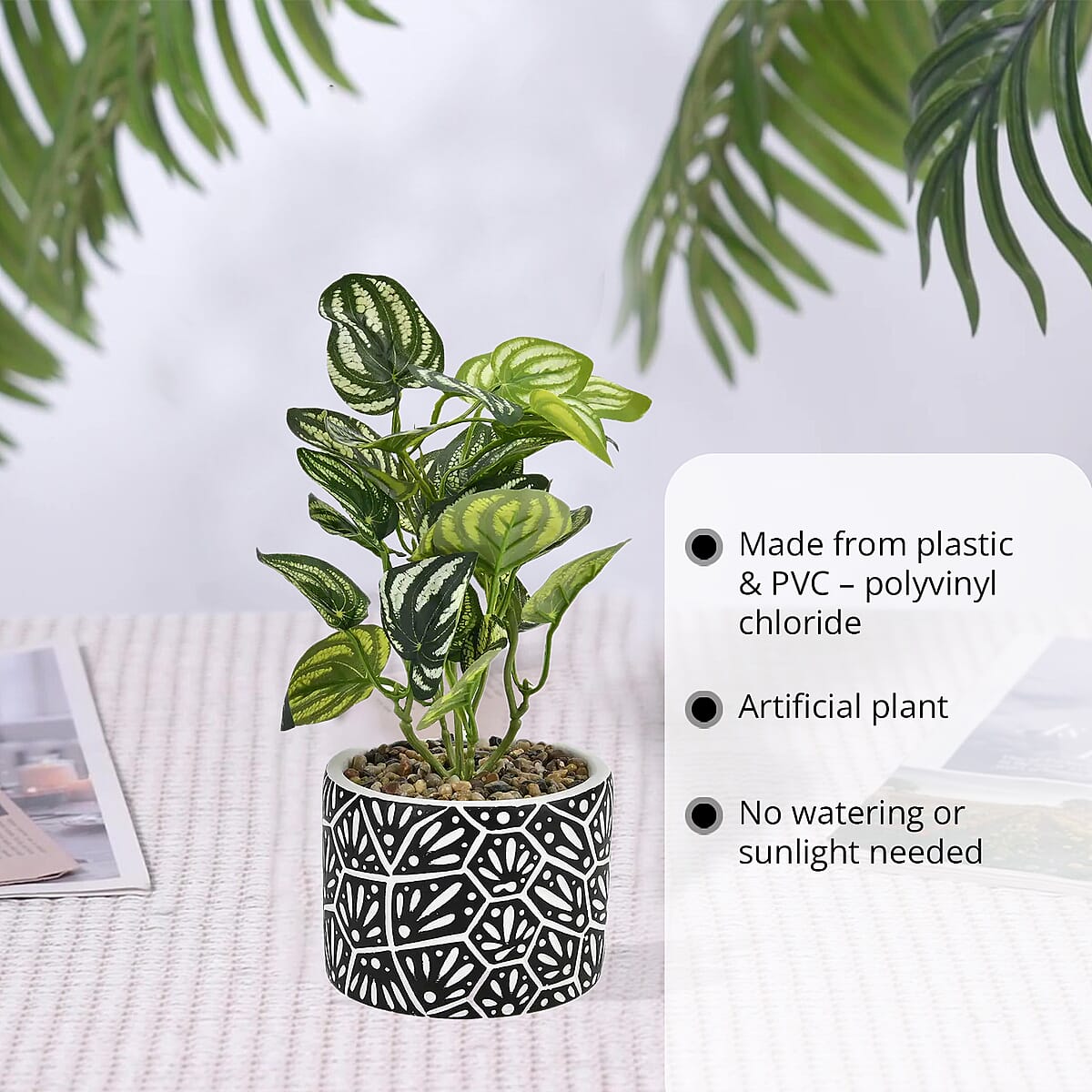 Black Artificial Succulent Pot image number 2